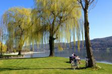 Cycle tour on Lake Constance - Lower Lake